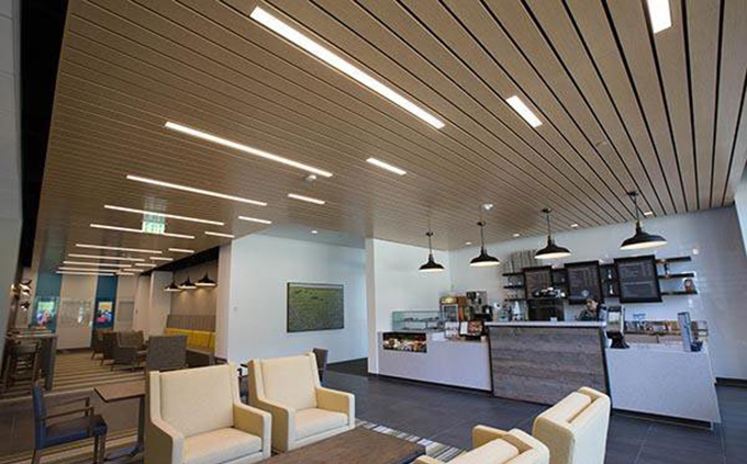 cac-dong-den-tuyp-led-pho-bien