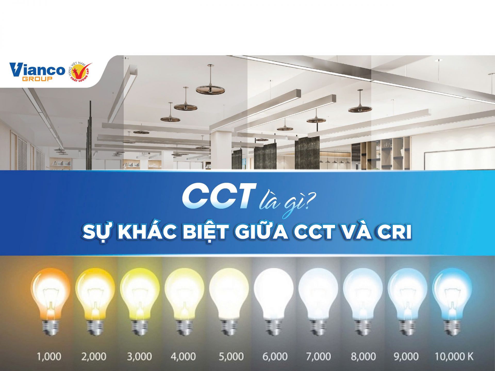 CCT là gì? Hiểu rõ sự khác biệt giữa CCT và CRI