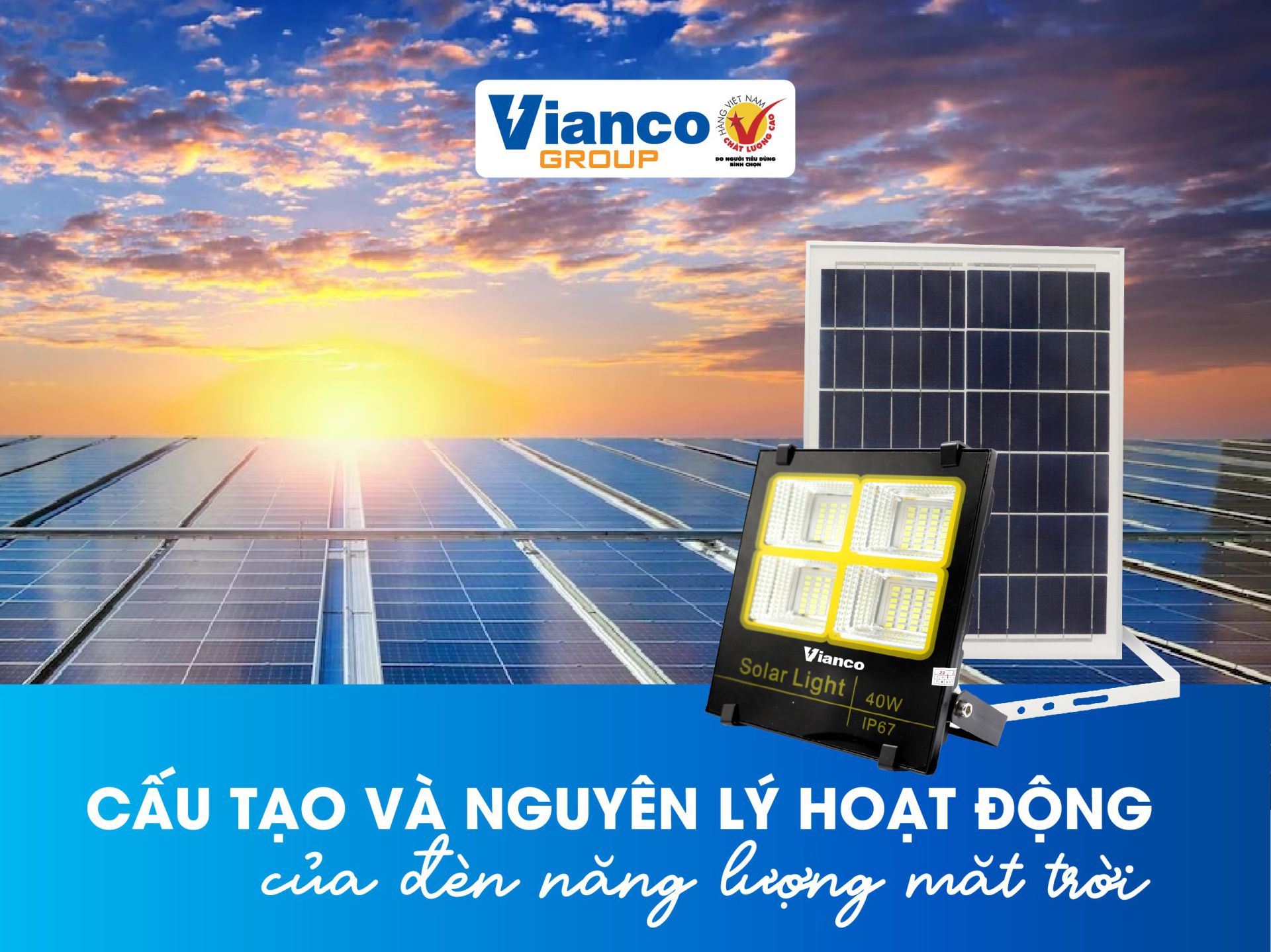 z5569238691538_1a5871b7f8323986fe0f62fa4f65b758